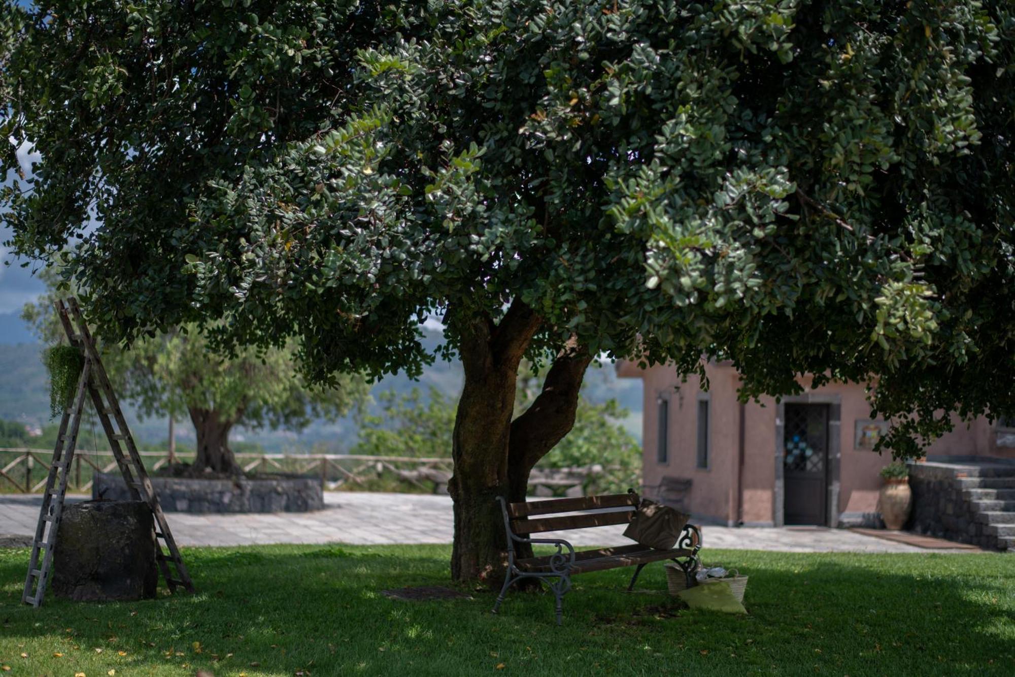 Borgata Baldazza Linguaglossa